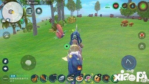 创造与魔法陆行鸟位置分布（创造与魔法哪个坐骑速度最快 坐骑速度排行榜）