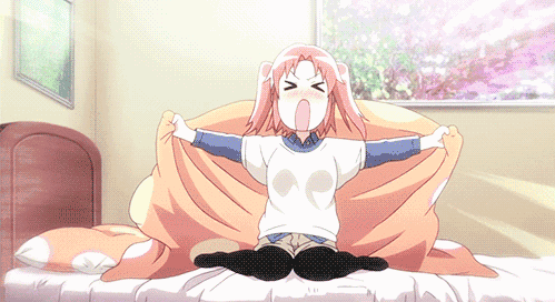 春砂仁和花胶 2026年春砂仁和花胶哪个好