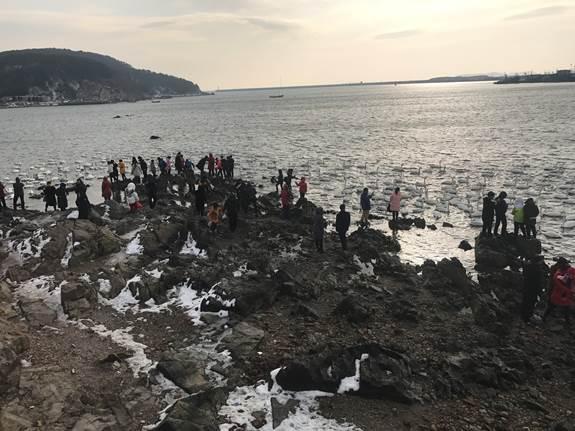 山东省荣成市：看天鹅、吃海鲜，每年吸引游客十万人，旅游总收入近一千万元！