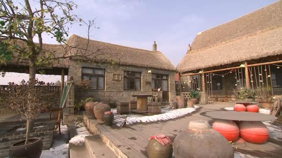 山东省荣成市：看天鹅、吃海鲜，每年吸引游客十万人，旅游总收入近一千万元！