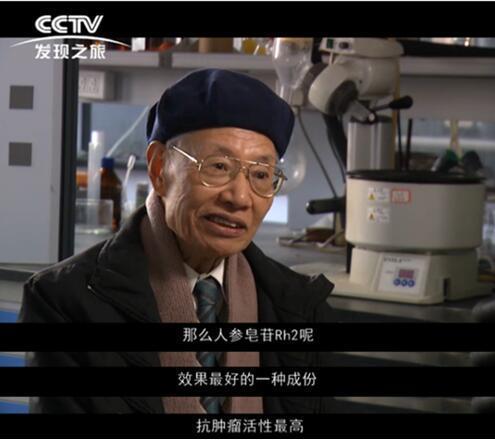 人参皂苷的作用与功效 2026年ioiz人参皂苷的功效和价格