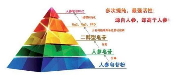 人参皂苷的作用与功效 2026年ioiz人参皂苷的功效和价格