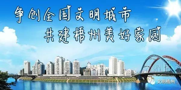 厉害了！《中国组织人事报》《广西日报》等中央和自治区级媒体推介我市“书记在现场”的经验做法！