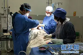 通讯：“非洲温暖之心”的中国天使图片