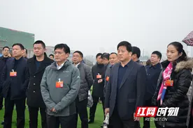 常德市人大代表视察重点建设项目 见证产业发展力量图片