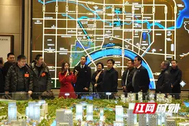 常德市政协委员视察重点建设项目 感受产业强劲发展图片