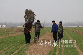 新旧动能转换：科技创新引领，菏泽破茧蝶变图片