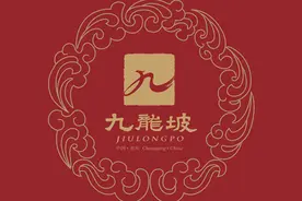 快来看九龙坡的品牌视觉形象：龙为头 凤为尾图片