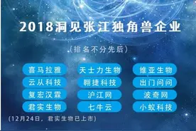 小蚁科技当选2018独角兽企业，AI黑核加速器战略合作发布图片