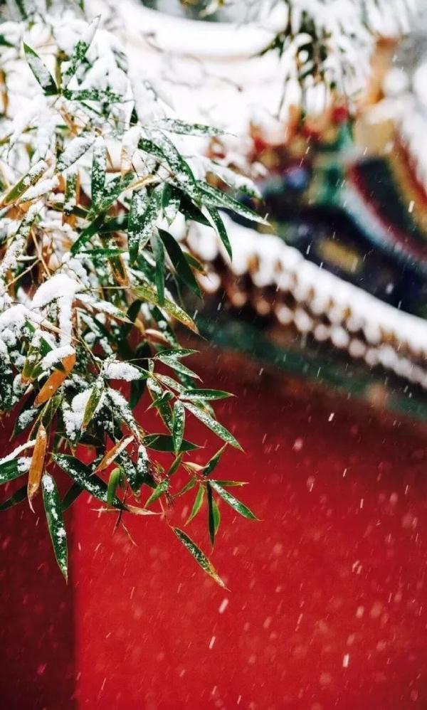 太美了！越是冬天，越是不能去的15个地方