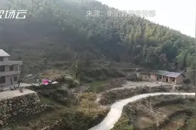 身高不足1米，坐轮椅直播卖土鸡 “袖珍姑娘”如何变身励志网红视频封面