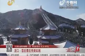 烟台威海等地出现大雪，气温再次刷新低，高速路口被迫封闭视频封面