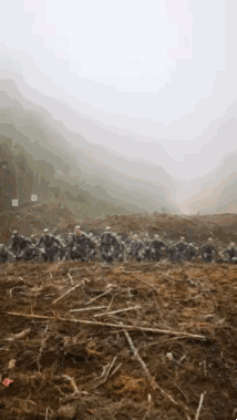 “你们只管好好学习，祖国由我们守护！”