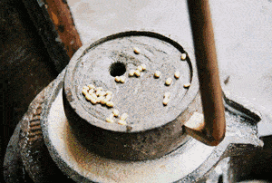 大豆使“坏”胆固醇降低3%！爱吃豆的人心血管有福了