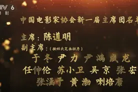 电影家协会第十次全国代表大会闭幕 陈道明当选协会主席视频封面