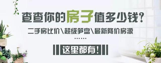9块9！冰雪乐园嗨翻天，限量1000张，现在开抢！