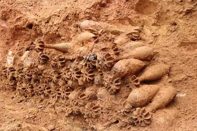 “你们只管好好学习，祖国由我们守护！”