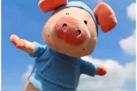 “pig out” 是“猪跑了”?一起来学学英文的“猪”俚语吧图片