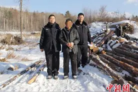“光头强”寒冬藏深山盗伐林木 以为警察不会趟雪巡查图片