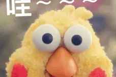 17岁少年因为长得太帅，没人敢和他谈恋爱！一夜吸粉36万...图片