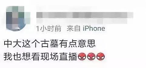 亮瞎眼！中大南校园发现古墓！网友：我天天睡在古墓上~