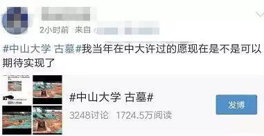 亮瞎眼！中大南校园发现古墓！网友：我天天睡在古墓上~