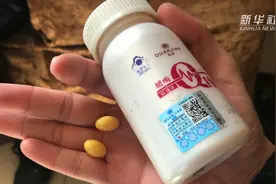 《新华视点》独家暗访权健保健品内幕