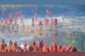 航拍冬日滇池上游“如画”湿地视频封面