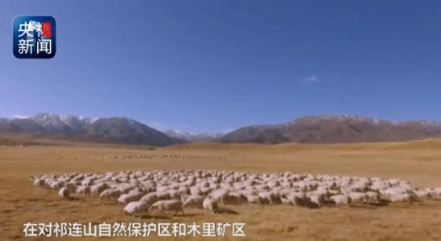 秦岭违建别墅整治始末 一抓到底正风纪