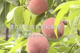 山东建立职业农民职称制度视频封面