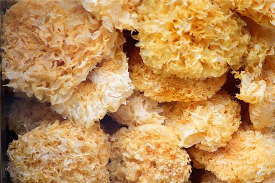 1鍏嬪共鐕曠獫鐩稿綋浜?0涓浮铔嬶紵娣辨墥鈥滃斁娑查吀鈥? onerror=