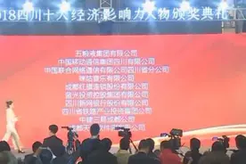 再添一项大奖！成都天府软件园有限公司斩获“2018四川十大领军企业”称号视频封面