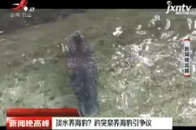 济南：淡水养海豹？趵突泉养海豹引争议