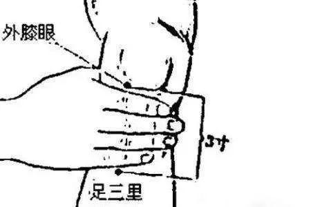 小学可以食花胶吗 花胶学生吃好吗
