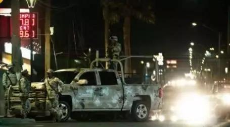 鱼鳔价格和图片大全 2026年鱼鳔的图片和作用