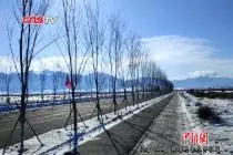 乌鲁木齐冰雪马拉松：-10℃选手仅穿背心短裤视频封面