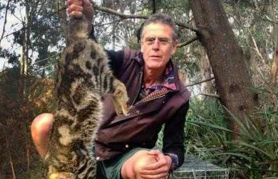 澳洲人民被猫猫惹怒，斥资建御电网，能灭一只是一只