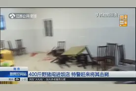 南京：饭店传来“砰”地一声巨响，特警朝饭店连开6枪，发生了啥？视频封面