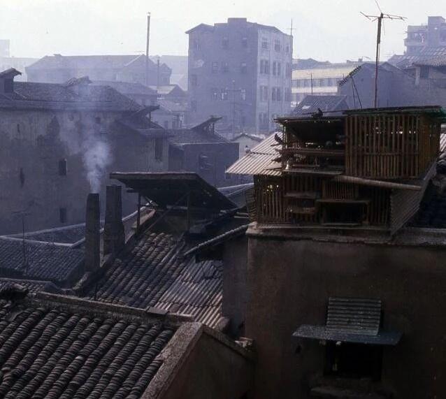 致敬！重庆40年！