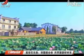高安巴夫洛：田园综合体 共享旅游好时光视频封面