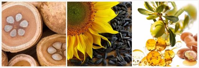 不会搓泥的身体乳