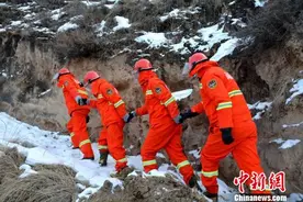 甘肃黄土山地数十载现“满眼绿” 护林员四季不歇护植被图片