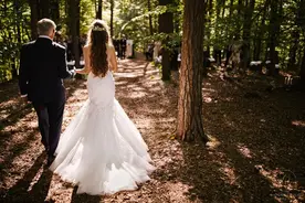 最佳婚礼目的地推荐：在维也纳定制一场“森系”婚礼图片