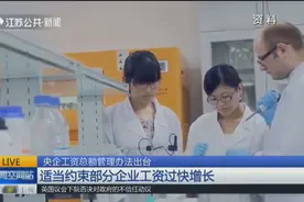 央企工资总额管理办法三要素：效益决定，效率调整，水平调控视频封面