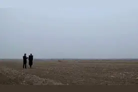 「推动乡村振兴 打造齐鲁样板」山东：培育齐鲁粮油品牌 助力乡村产业振兴视频封面