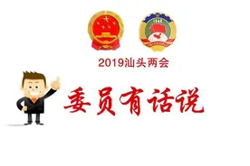 两会委员说丨林澄辉：厚植绿色发展优势，推动江湾新区高质量发展视频封面