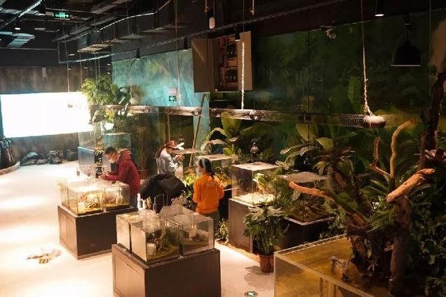 4500㎡巨型室内动物园惊现大石坝，3600只萌宠等你来撩！