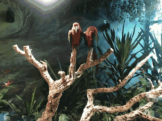 4500㎡巨型室内动物园惊现大石坝，3600只萌宠等你来撩！