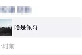 “啥是佩奇”？网友沸腾了！但只有四川人的答案最清奇图片