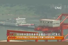 2018年中国信保承保金额达6122.3亿美元视频封面